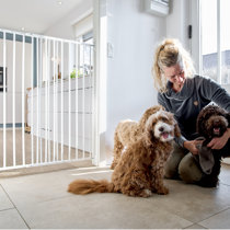 Command pet sales wall mounted gate